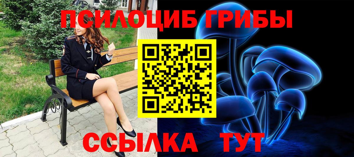 Раменское  Псилоцибиновые грибы прущие грибы  Вход с VPN  Галлюциногенные грибы Magic Shrooms 